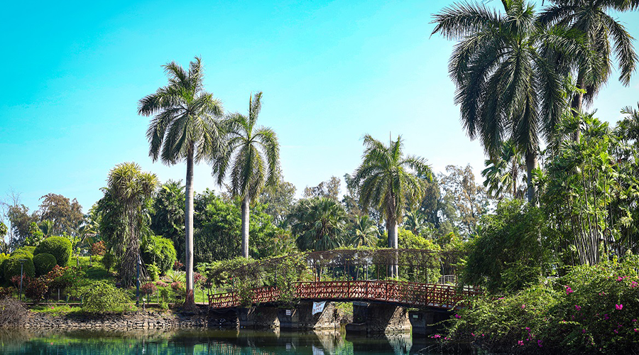 Vanganga Garden