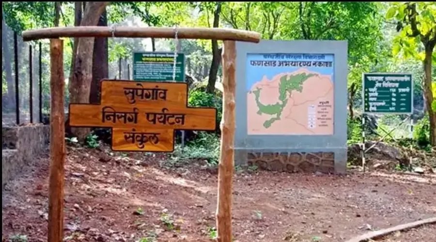 Phansad Wildlife Sanctuary Maharashtra - Aryan Go